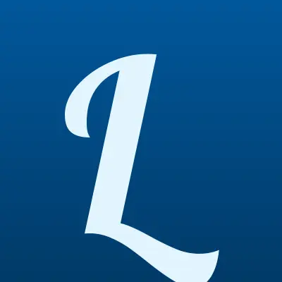 Lili, химчистка, лого-визитка